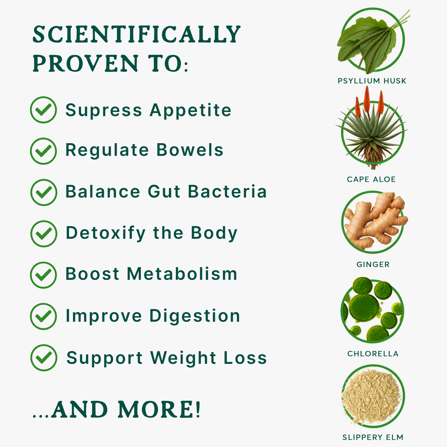 Psyllia® Gut Health [US]